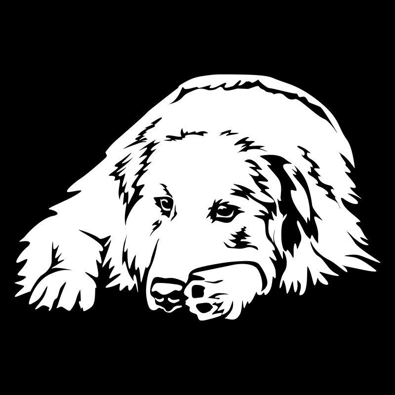 Pyreneenberghund « Black Edition »