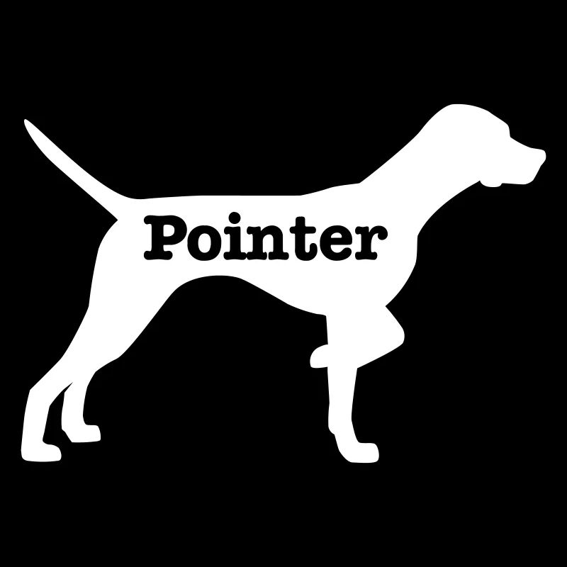 Pointer