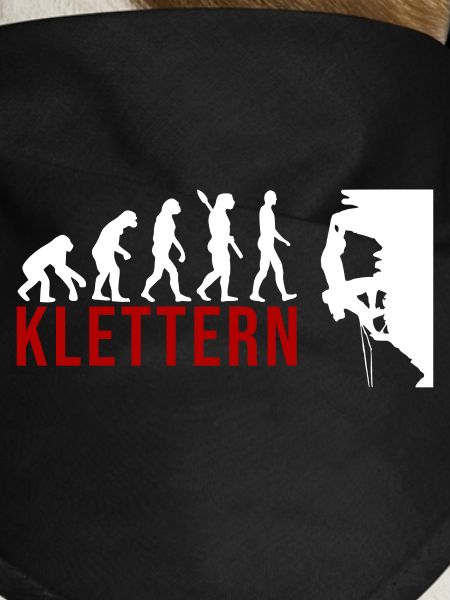 Ecolution Klettern