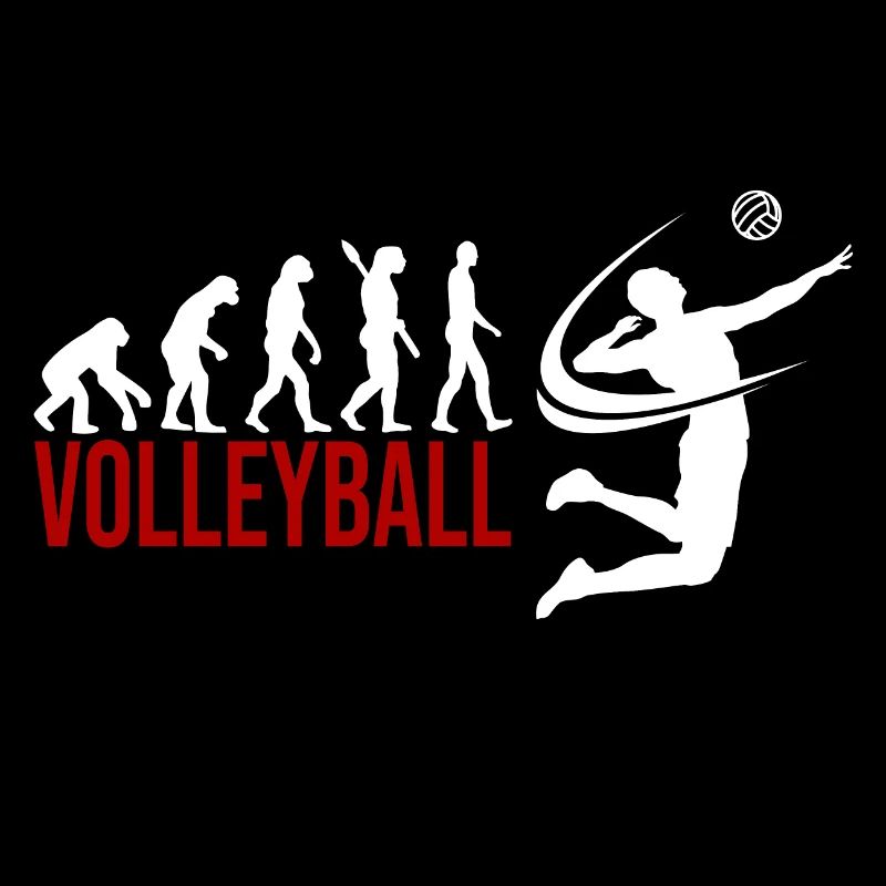 Evolution Volleyball