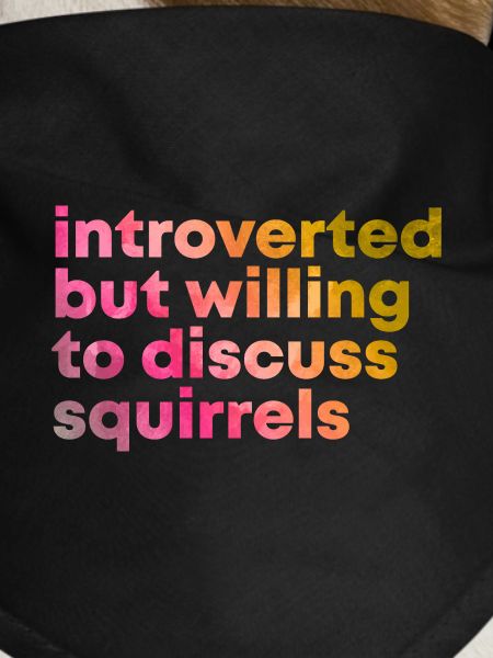 Squirrel Squirrel Squirrel