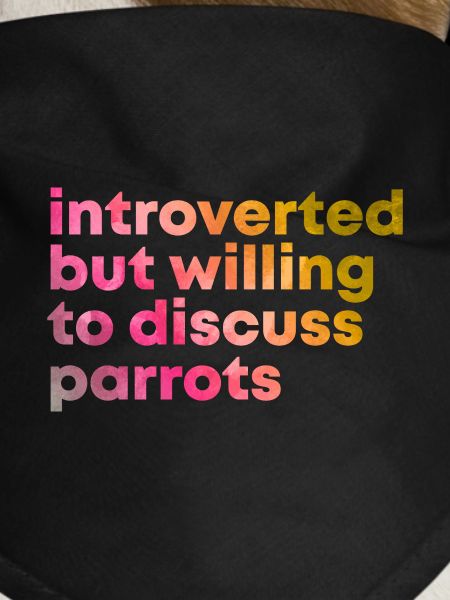 Parrot Parrot Parrot