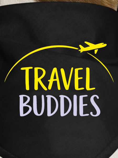Travel Buddies
