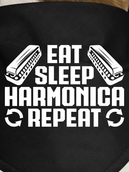 Harmonica Musican Eat Sleep Repeat Harmonica