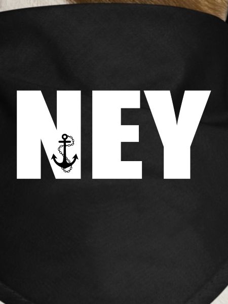 NEY anchor