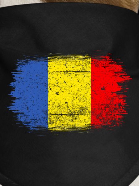 Brushstroke Romanian Flag