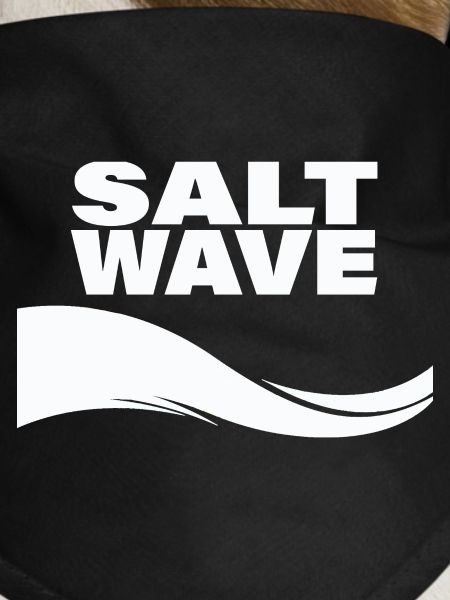 SALT WAVE