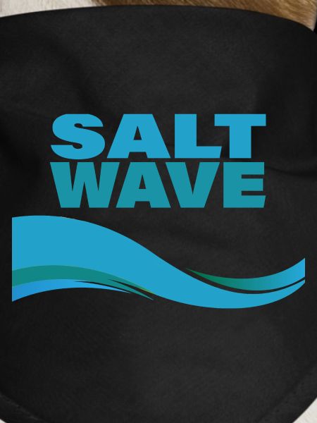 SALT WAVE