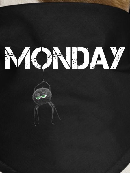 Monday Spider