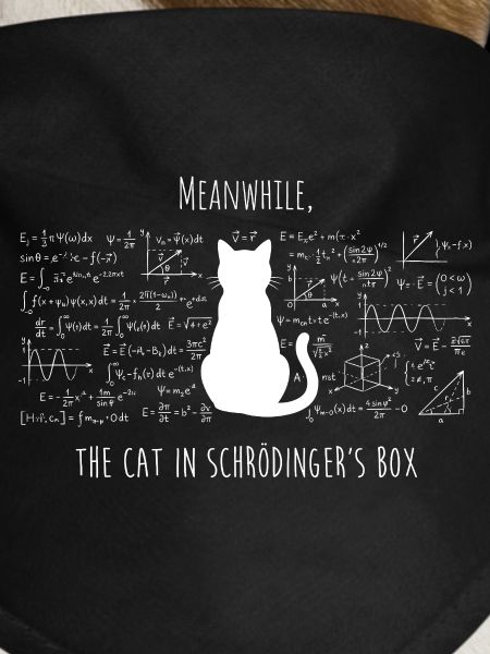 Schrödinger's Cat – Physics & Science Design