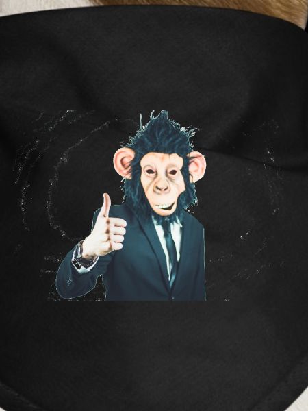 Monkey
