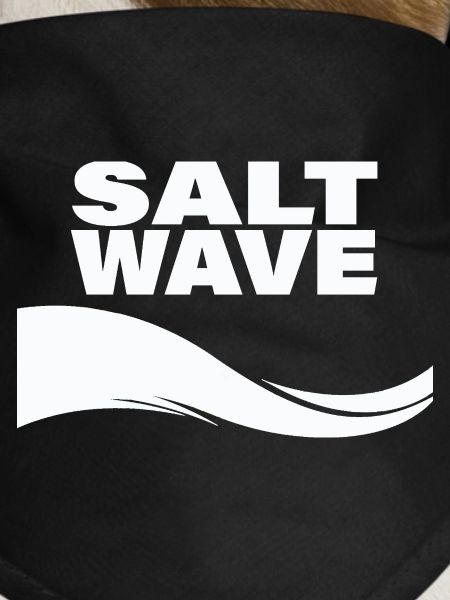 SALT WAVE