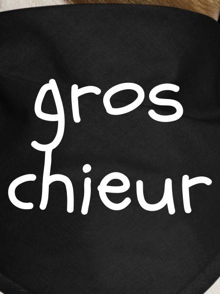 Gros chieur