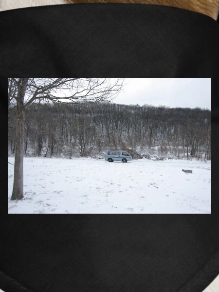 Winter Solitude