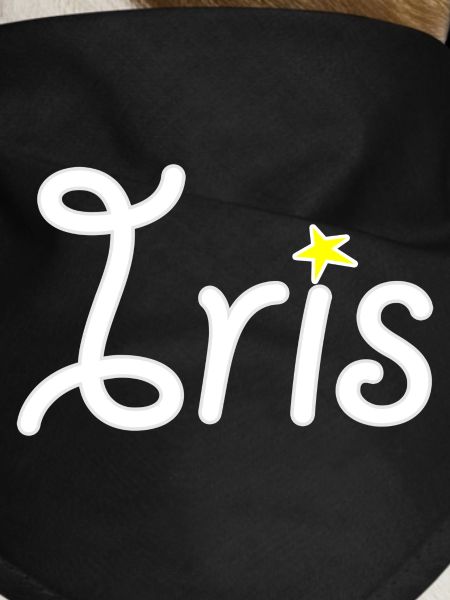 Iris