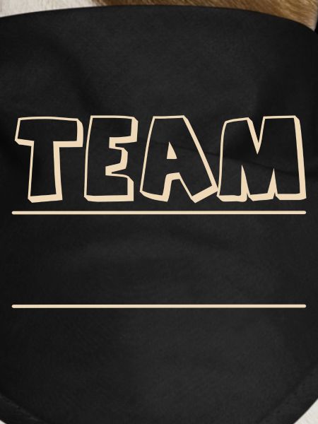 Team