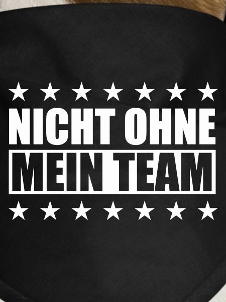 My Team