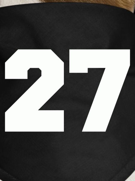 Number 27