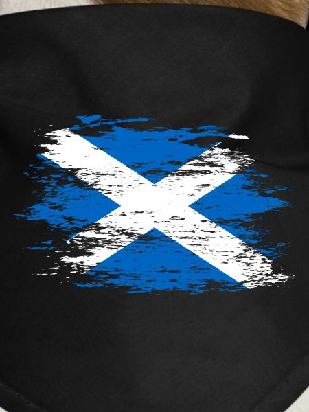 Drapeau de l’Écosse utilisé