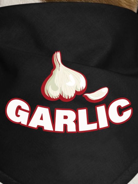 GARLIC