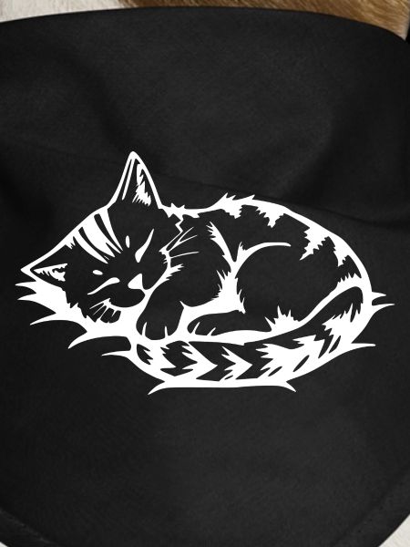 Sleeping Cat White