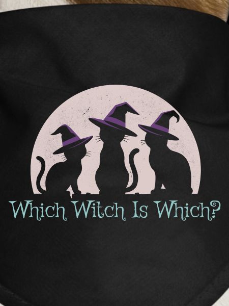 Spooky Black Cat Halloween - Which Witch Is Which