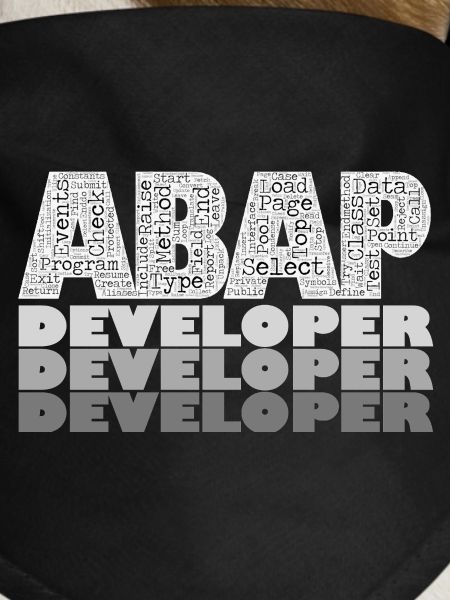ABAP Developer