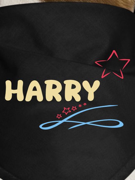 Star Harry