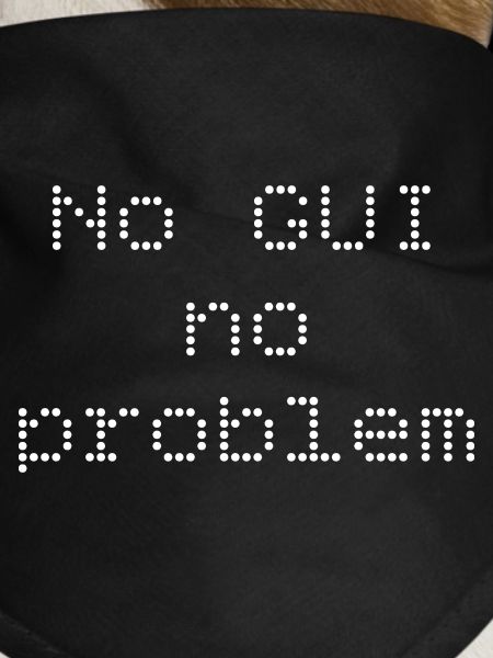 No GUI no problem