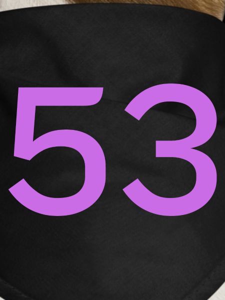 53