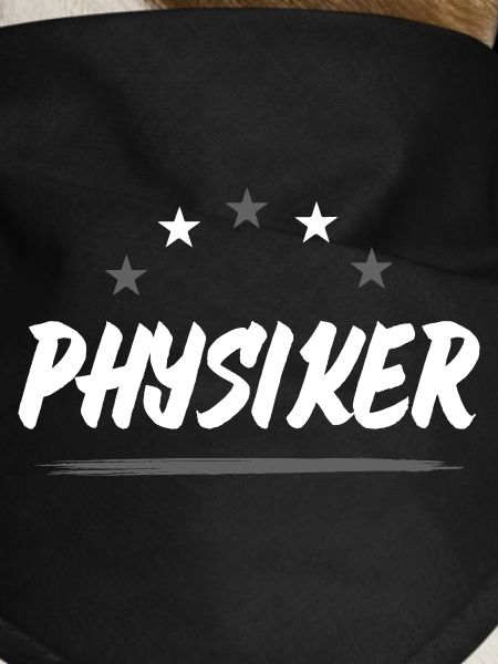 Physiker Beruf
