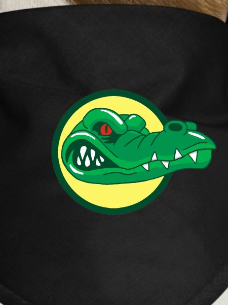 Crocodile head