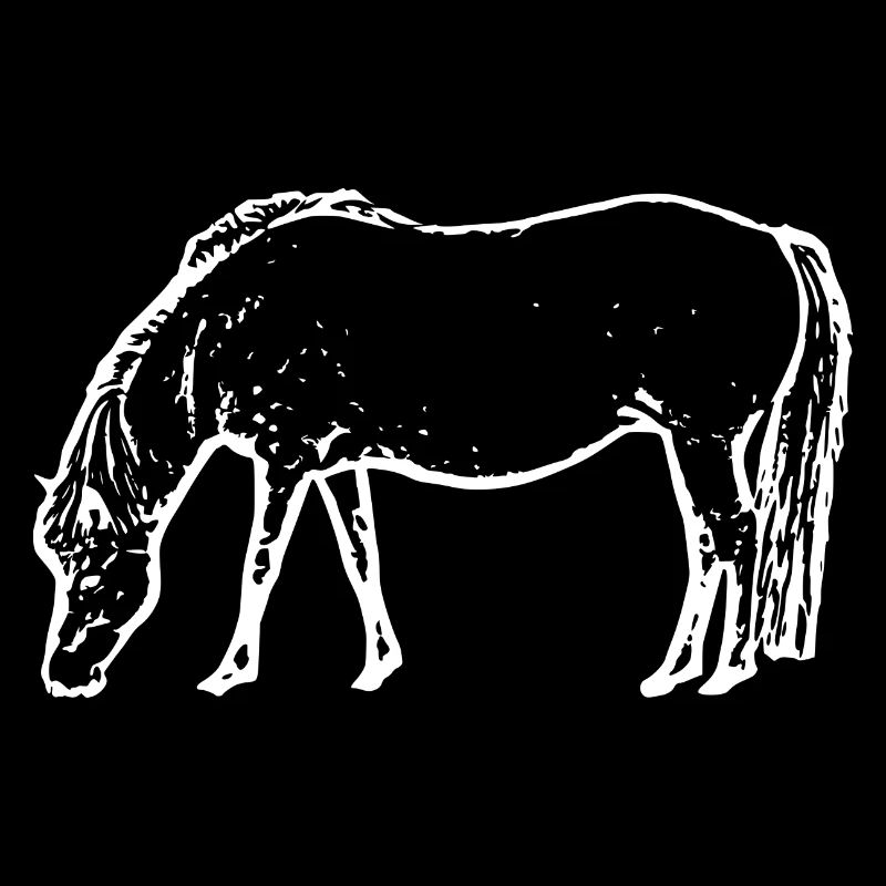 weißes Pferd weiß Pferde T-shirt Geschenk Reiter 
