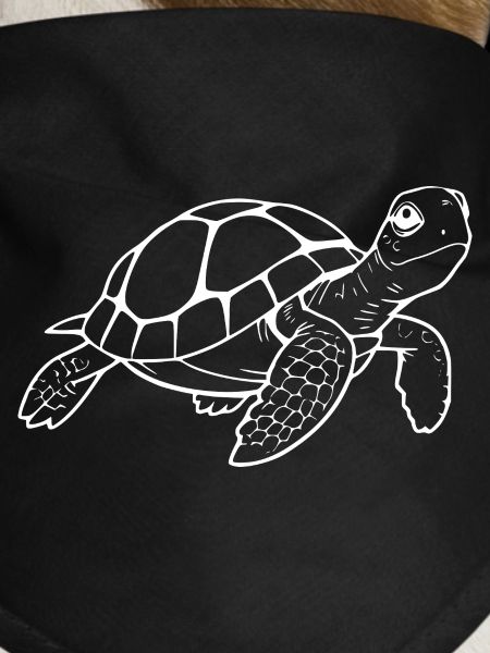 Turtle Turtles