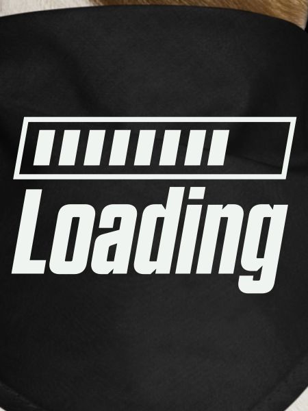 Loading Ladebalken