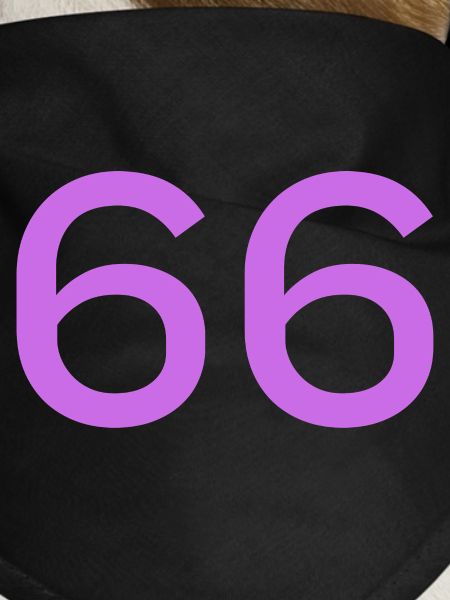 66