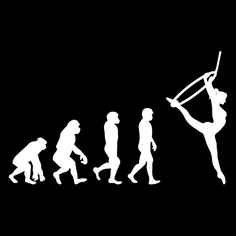 Aerial Hoop Lyra Circus Acrobatics Evolution