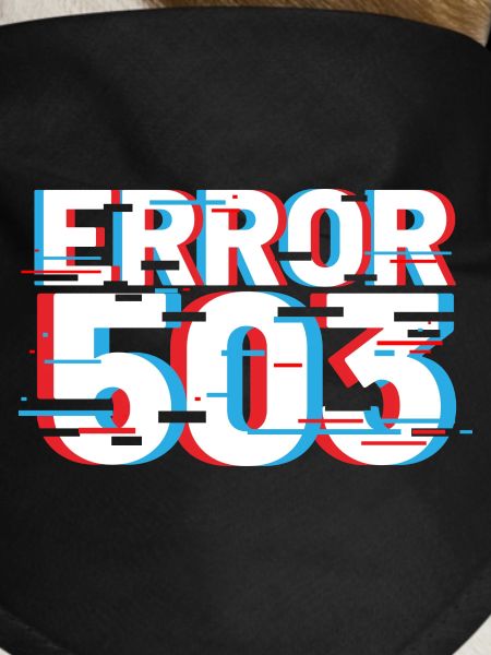 Error 503 Glitch