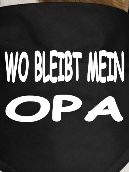 Opa