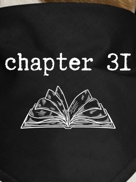 chapter 31 Birthday