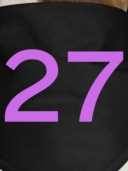 27