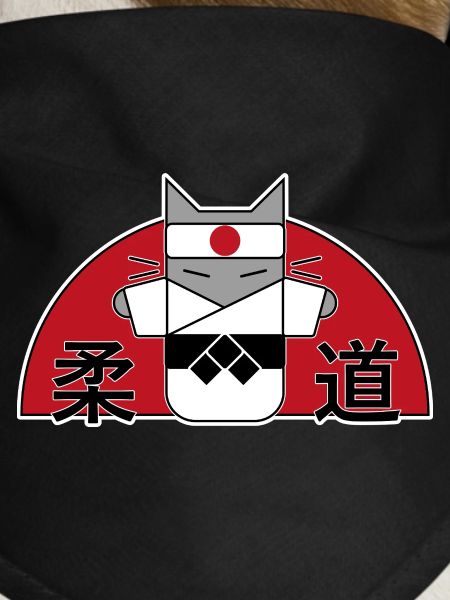 Judo Cat
