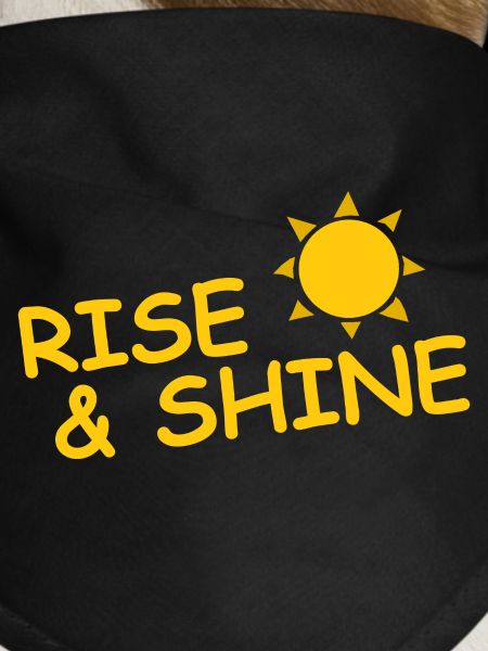 RISE & SHINE