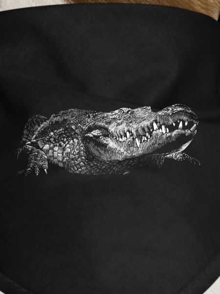 Crocodile