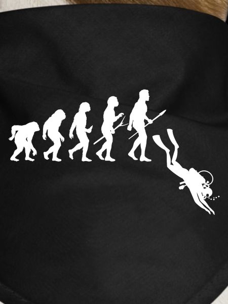 Diver Evolution - Diving