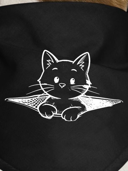 Small cat