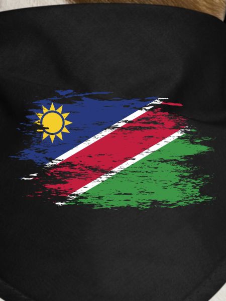 Namibia flag used