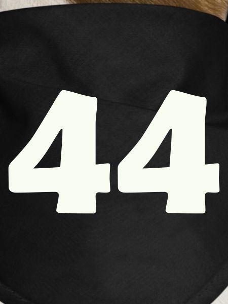 44