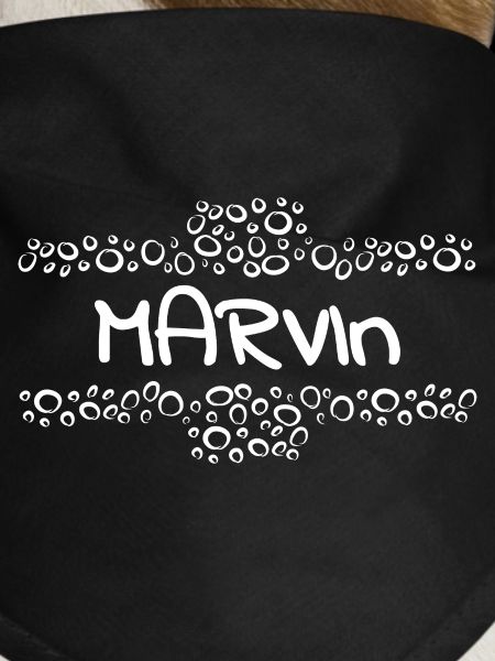 Baby Marvin