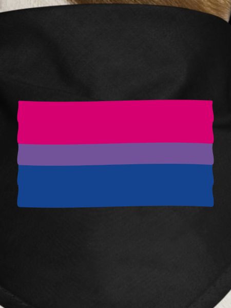 Bisexual Pride Flag